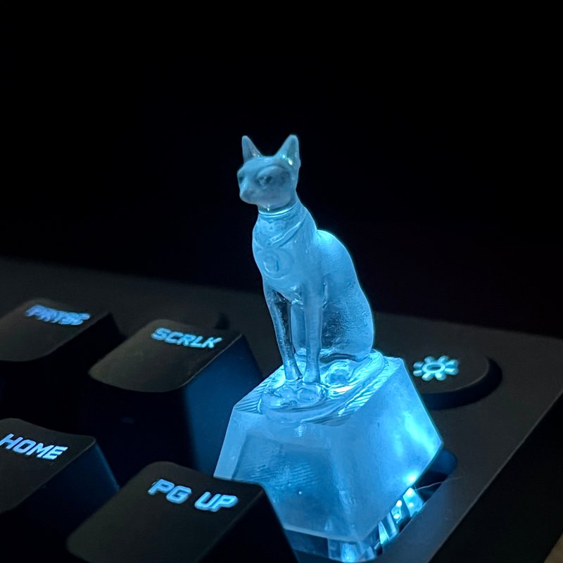 键帽, 猫, 透明, 清晰, 游戏, 键盘, 樱桃MX - 其他 - 塑料 透明