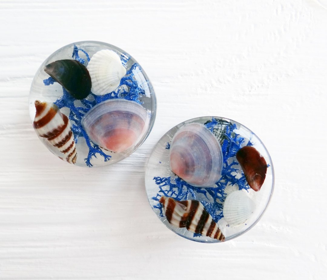 Sea Shell plug earrings 2g 0g 00g 44m 19mm gauges Blue moss Terrarium - 耳环/耳夹 - 贝壳 蓝色