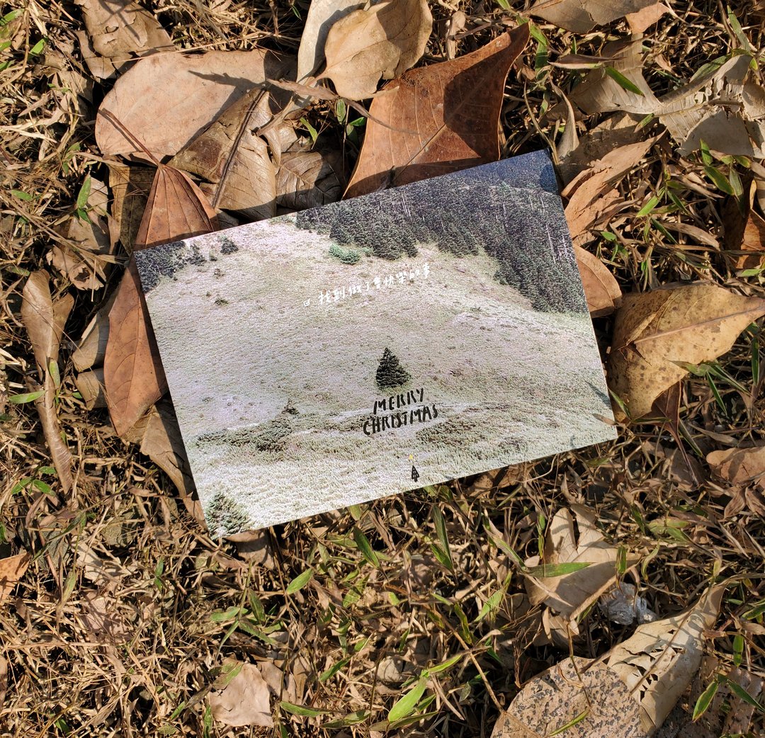找到快乐的事 / 圣诞卡 /Magai's postcard - 卡片/明信片 - 纸 绿色
