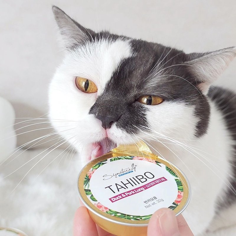 韩国SB 猫罐 大喜宝健康小金罐 维持免疫力 30gX8装 无胶肉泥 - 猫罐头/鲜食 - 其他材质 白色