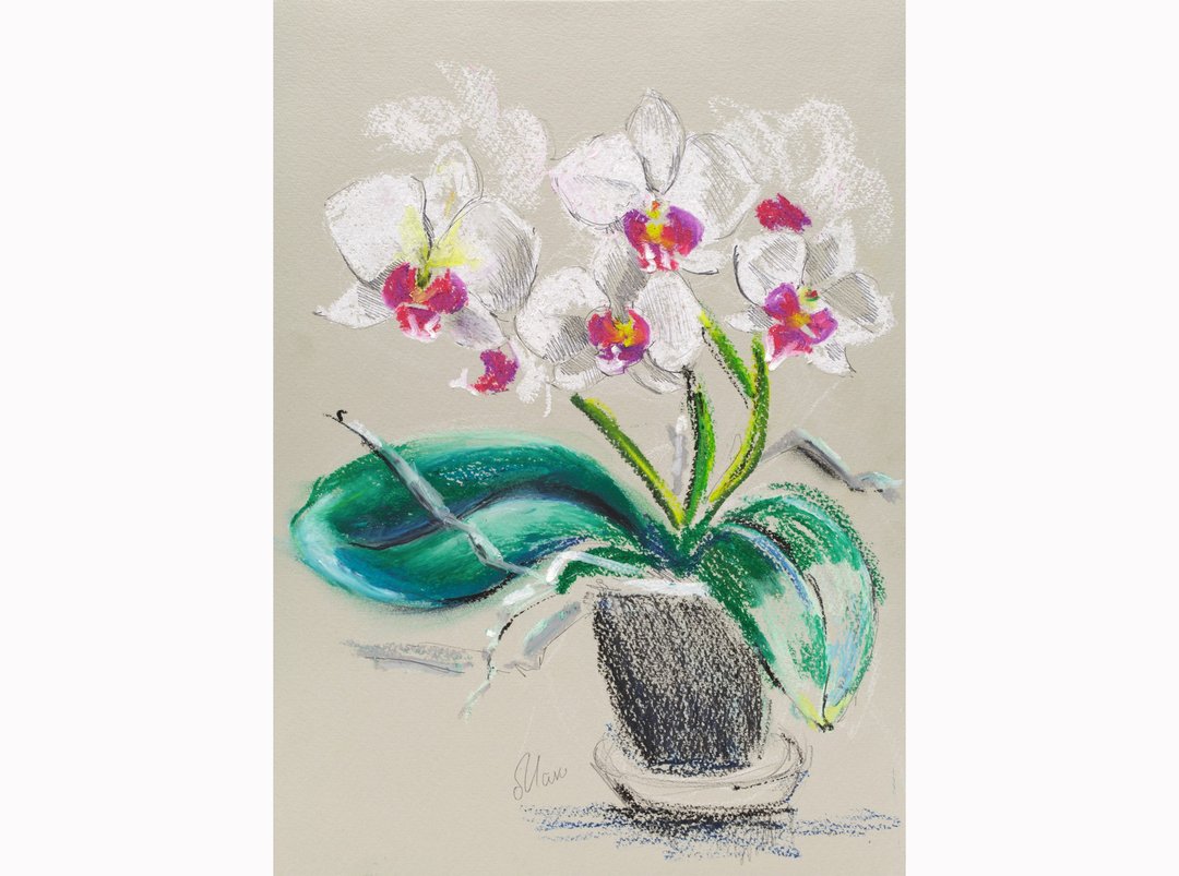 Orchid Oil Pastel Painting White Floral Original Wall Art Flower Decor 12x8'' - 海报/装饰画/版画 - 纸 紫色