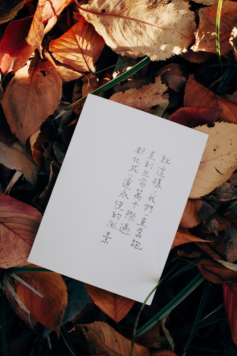 此时此刻。直到生命化成一道永恒的风景 文字明信片 青青的岛 - 卡片/明信片 - 纸 