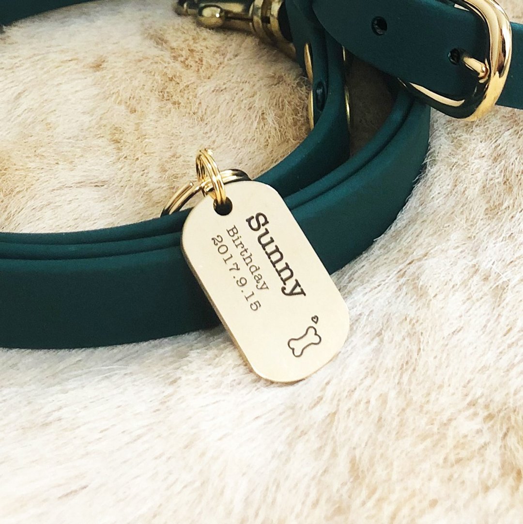 Brass Pet Tags Dog Tag - 其他 - 铜/黄铜 金色