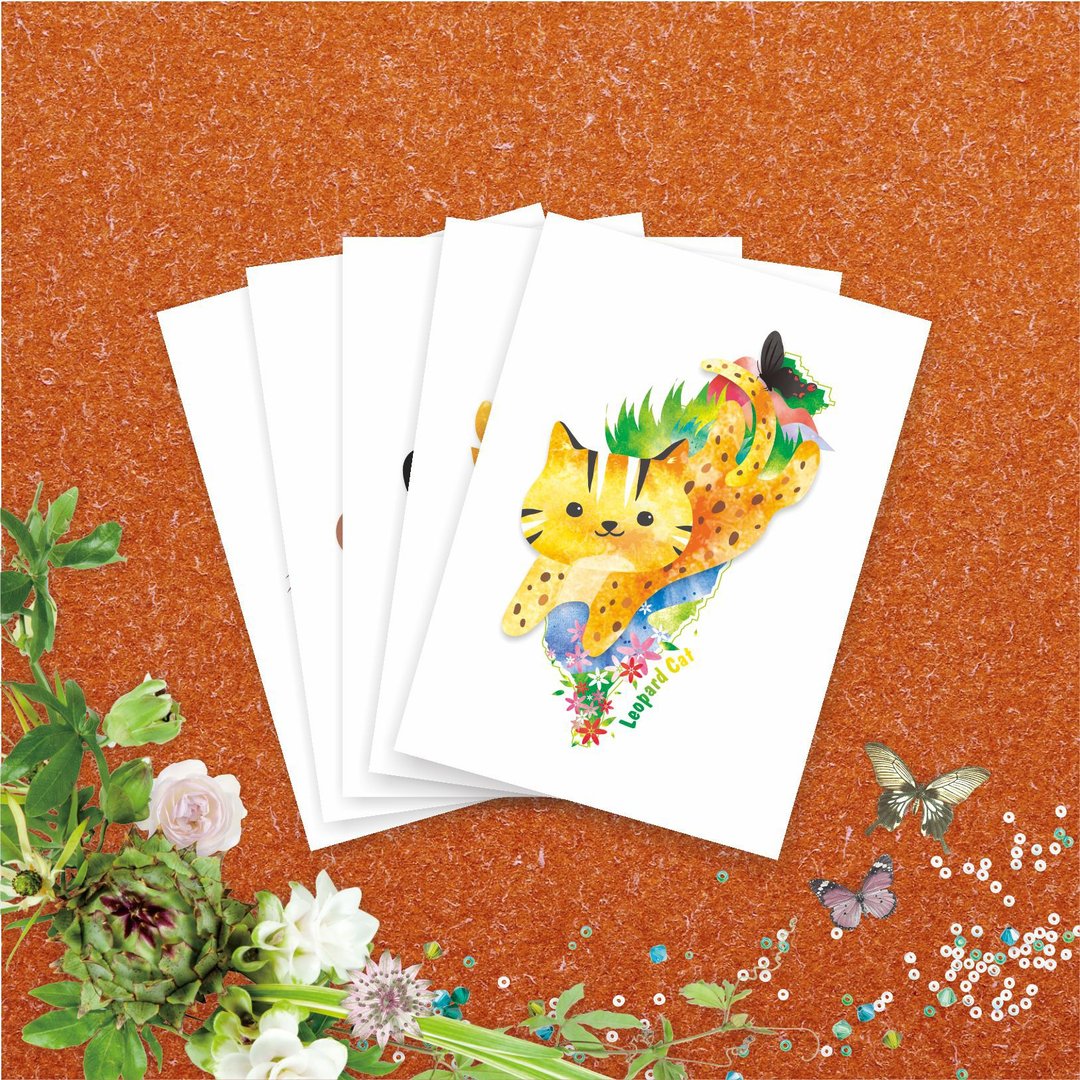 【台湾动物】 岛屿方舟特别套组 明信片 - 5款各1张/同款5张入 - 卡片/明信片 - 纸 