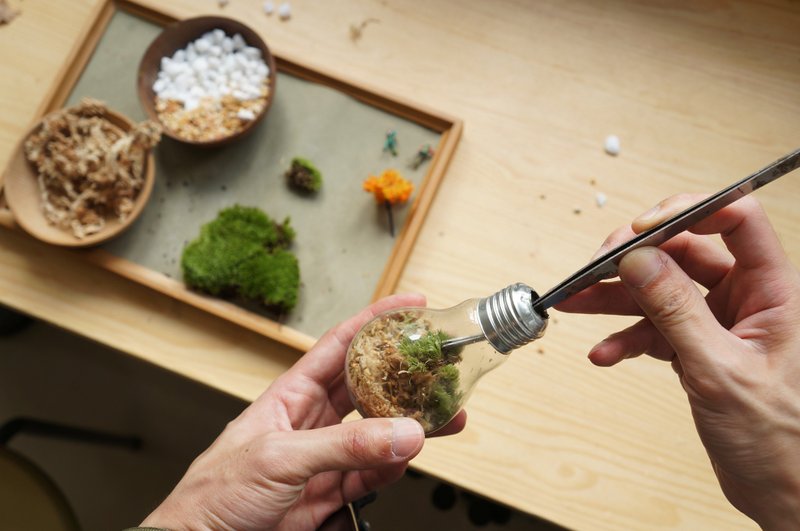 挑战爱迪生-在灯泡内种植-苔灯泡工作坊-【一人成团】 - 植栽 - 玻璃 