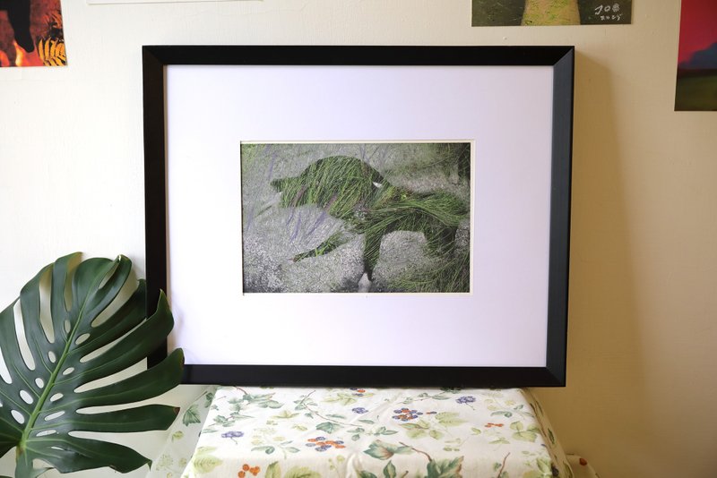 风之又三郎 - 摄影集 - 纸 