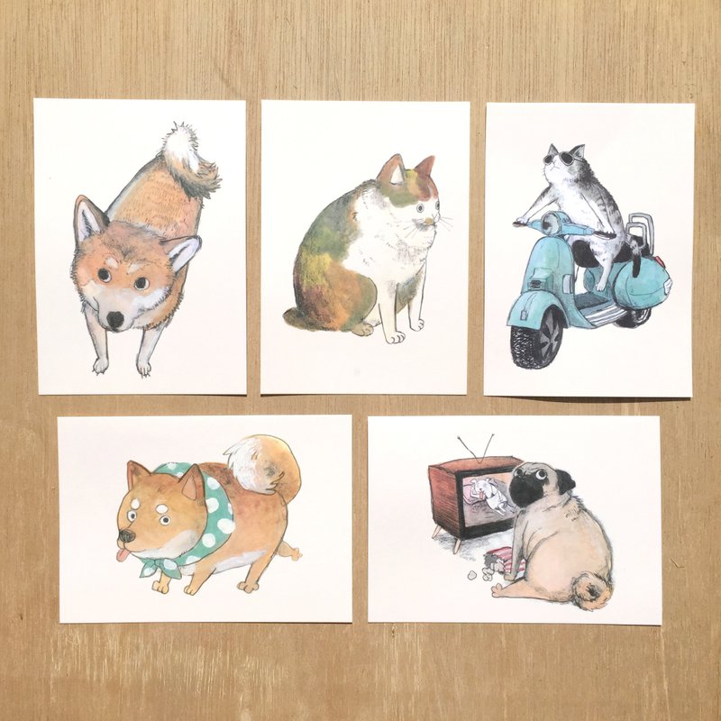 动物明信片 5张组 - 卡片/明信片 - 纸 多色