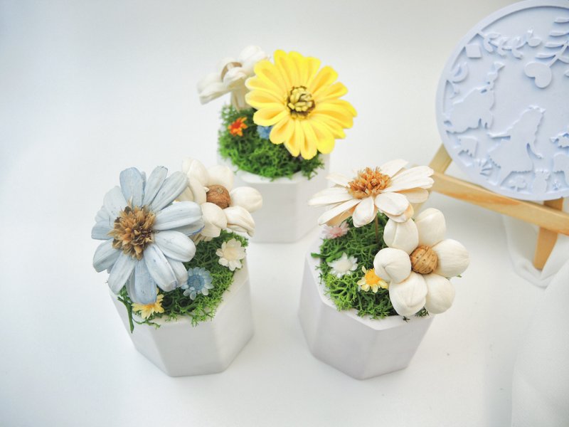 爱丽丝花园 扩香小盆花 扩香花 永生花 桌花 - 干燥花/捧花 - 植物．花 多色