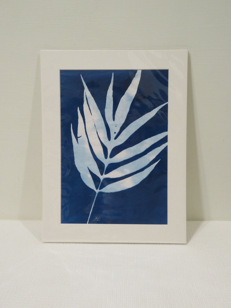 植物剪影。手作蓝晒框画 - 墙贴/壁贴 - 纸 蓝色
