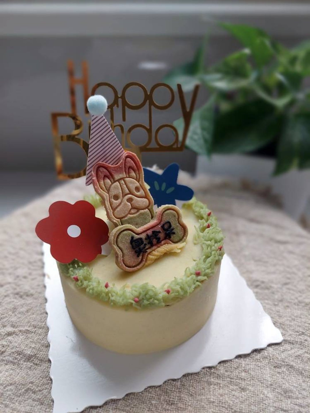 4寸宠物蛋糕 生日蛋糕 饼干姓名款 可自取 - 猫罐头/鲜食 - 其他材质 