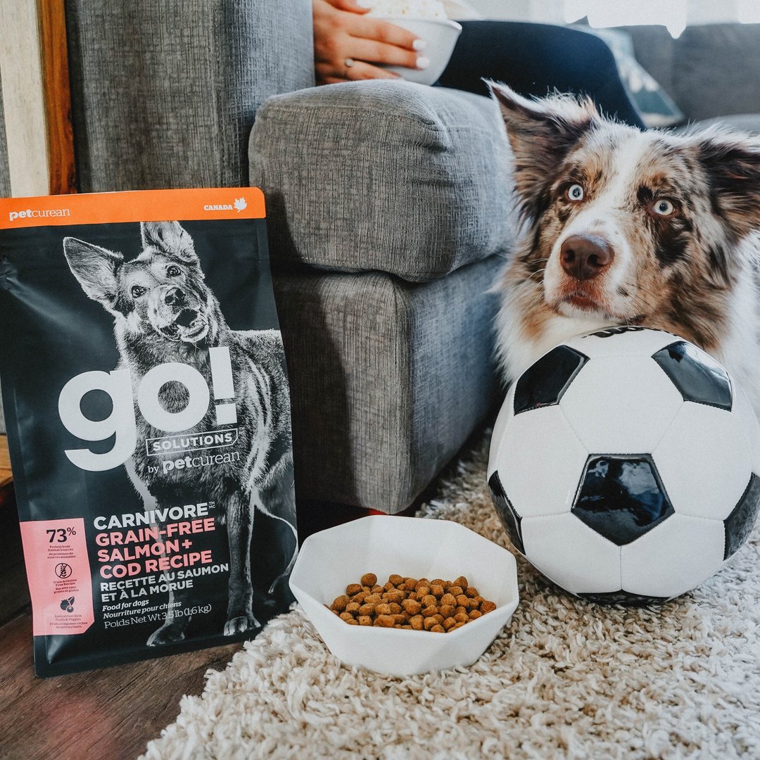 【狗主食】go! 海洋鲑鳕全犬 高肉量系列 无谷 狗饲料 WDJ - 狗罐头/鲜食 - 新鲜食材 