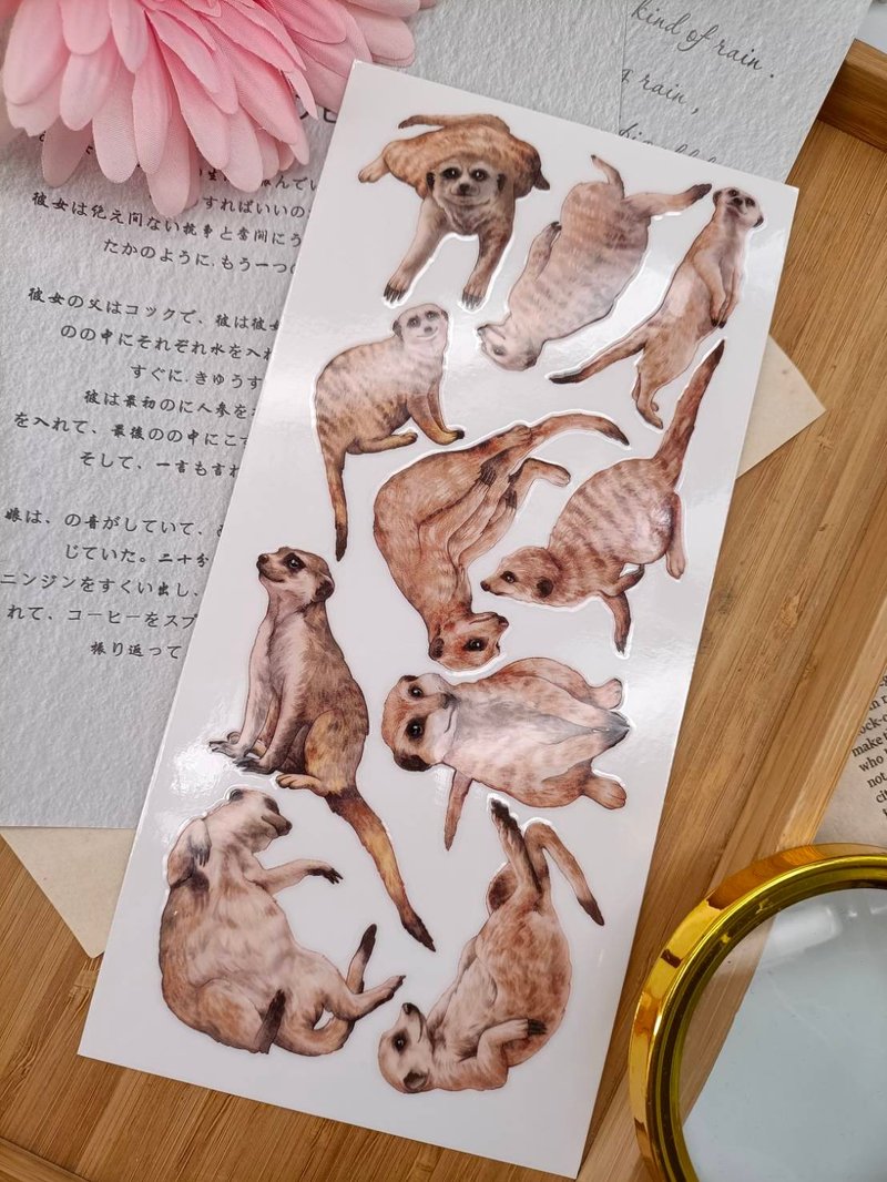 5K023_五口美 _ 狐蒙B_Meerkat B/轉印貼紙 - 贴纸 - 其他材质 多色