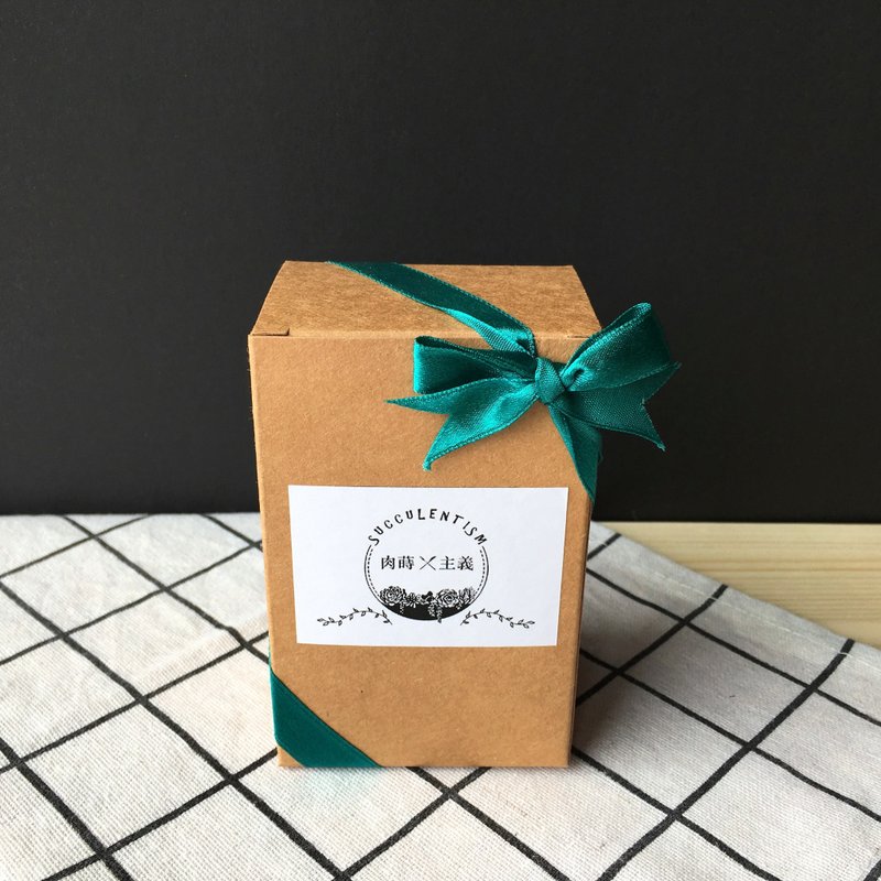 干一杯多肉。单入包装加购区。翡翠绿缎带款 - 其他 - 纸 咖啡色
