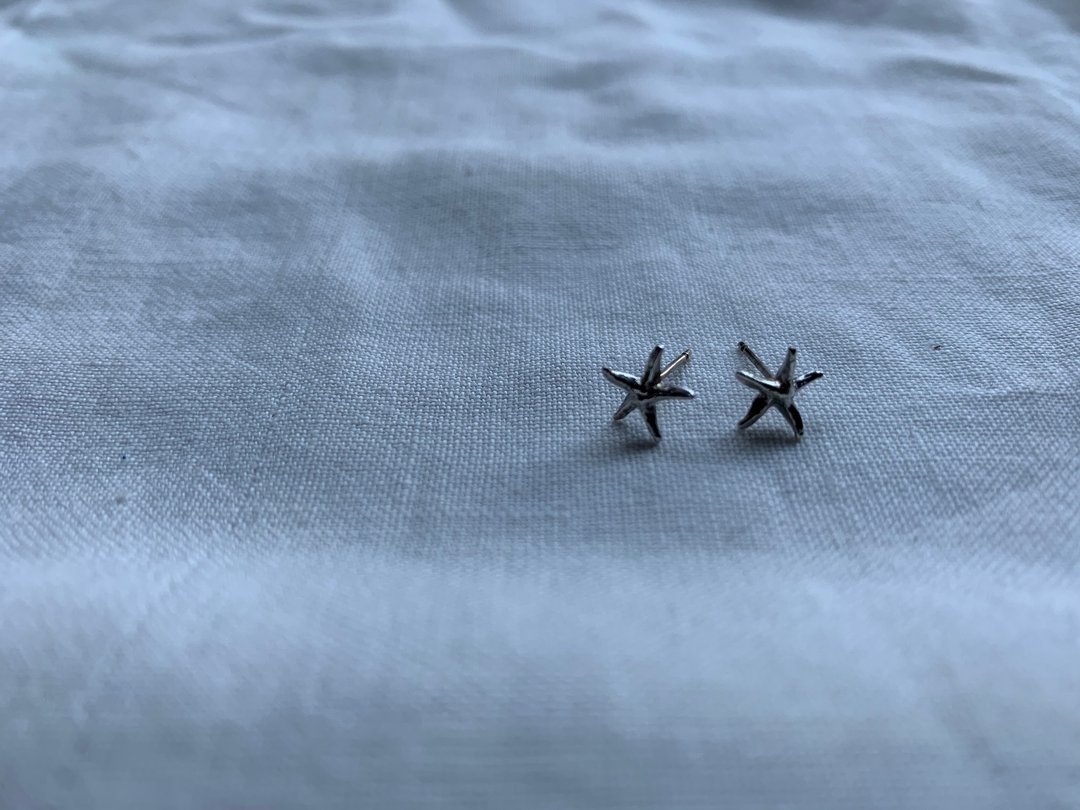 Starfish pierce - 耳环/耳夹 - 银 银色