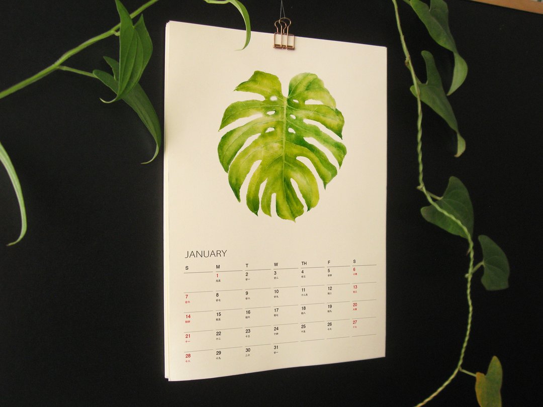 植物的静默 2026 2027 年历月历挂历 给植物爱好者的治愈新年礼物 2 - 年历/台历 - 纸 绿色