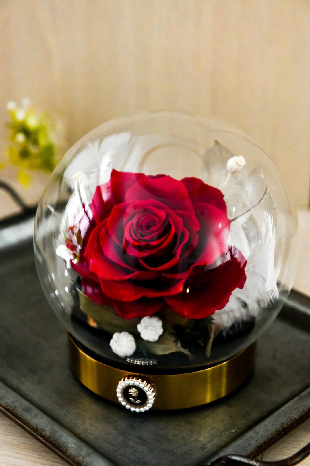 红玫瑰祈愿羽球│Preserved Red Rose With Glass Dome - 摆饰 - 植物．花 红色