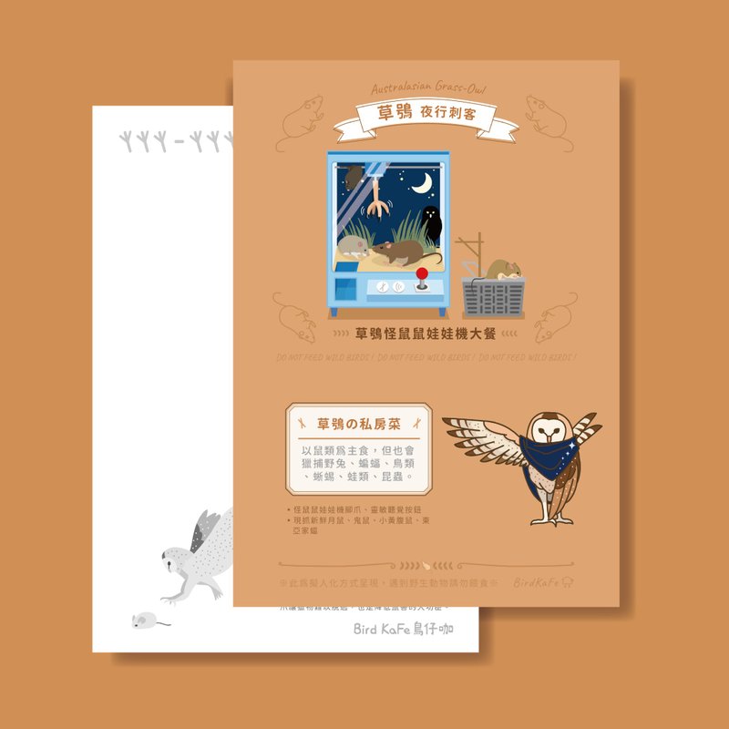 鸟明信片 | 草鸮 夜行刺客 | 鸟儿の私房菜系列 - 卡片/明信片 - 纸 咖啡色