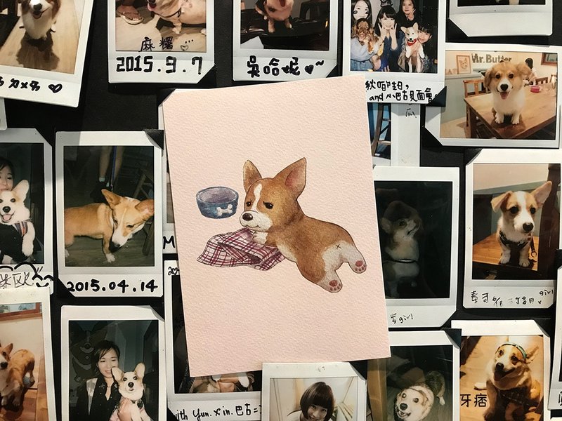 我的饭呢? 厌世柯基回眸手绘明信片 - 卡片/明信片 - 纸 