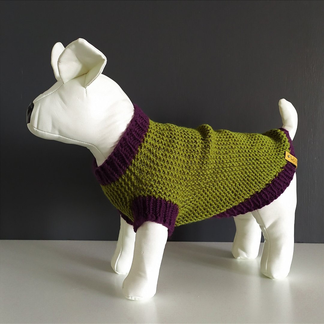Bright knitted sweater for small dogs - 衣/帽 - 其他材质 多色