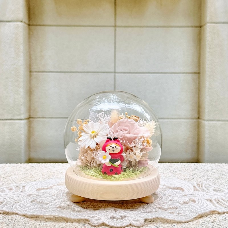 猫咪/柴犬/永生花/干燥花/夜灯/玻璃盅/玻璃罩 - 干燥花/捧花 - 植物．花 多色