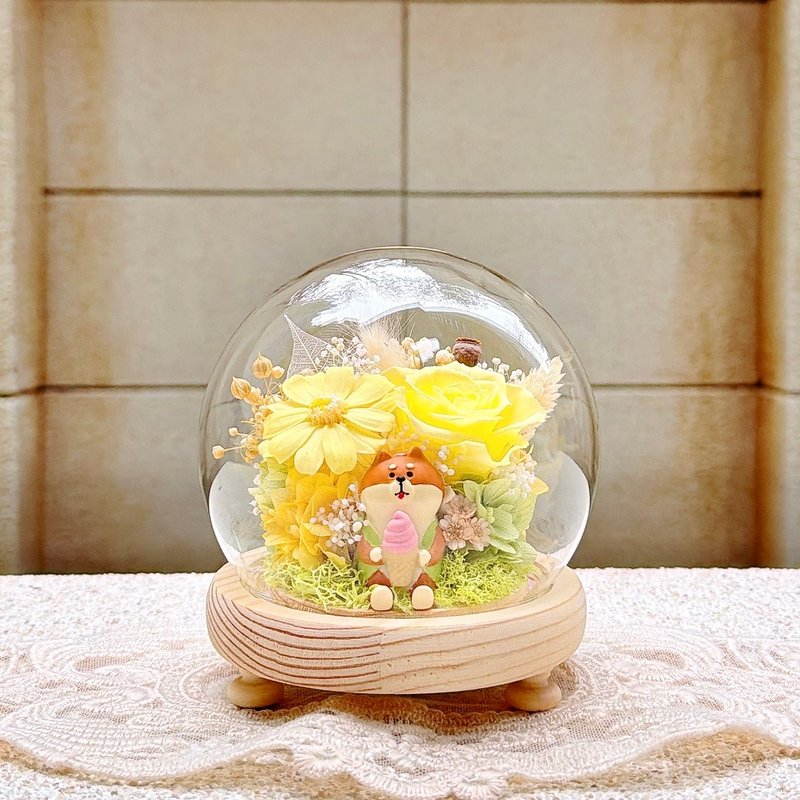 猫咪/柴犬/永生花/干燥花/夜灯/玻璃盅/玻璃罩 - 干燥花/捧花 - 植物．花 多色