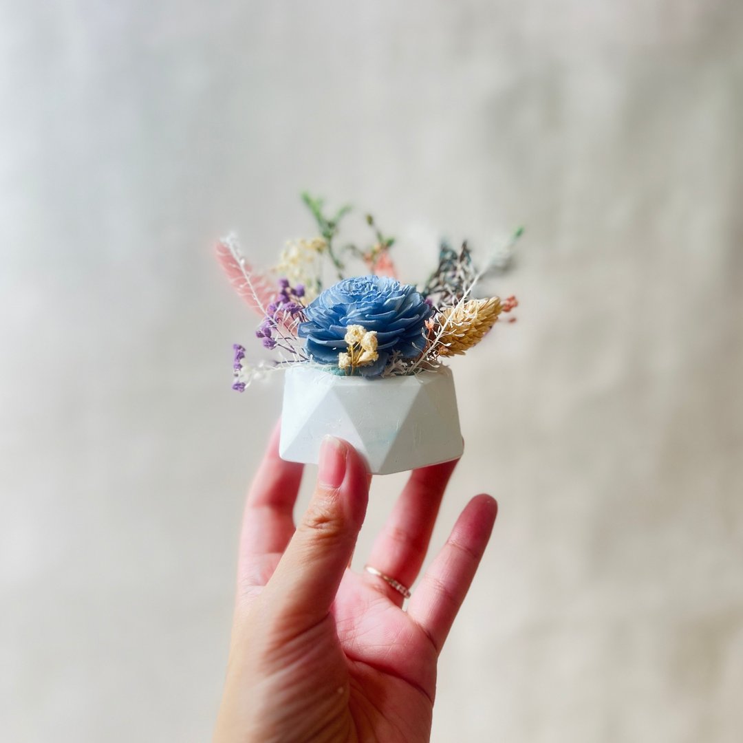 七夕毕业礼物 教师节 情人礼物特价商品(现货)-扩香永生花小盆栽 - 植栽/盆栽 - 植物．花 黄色