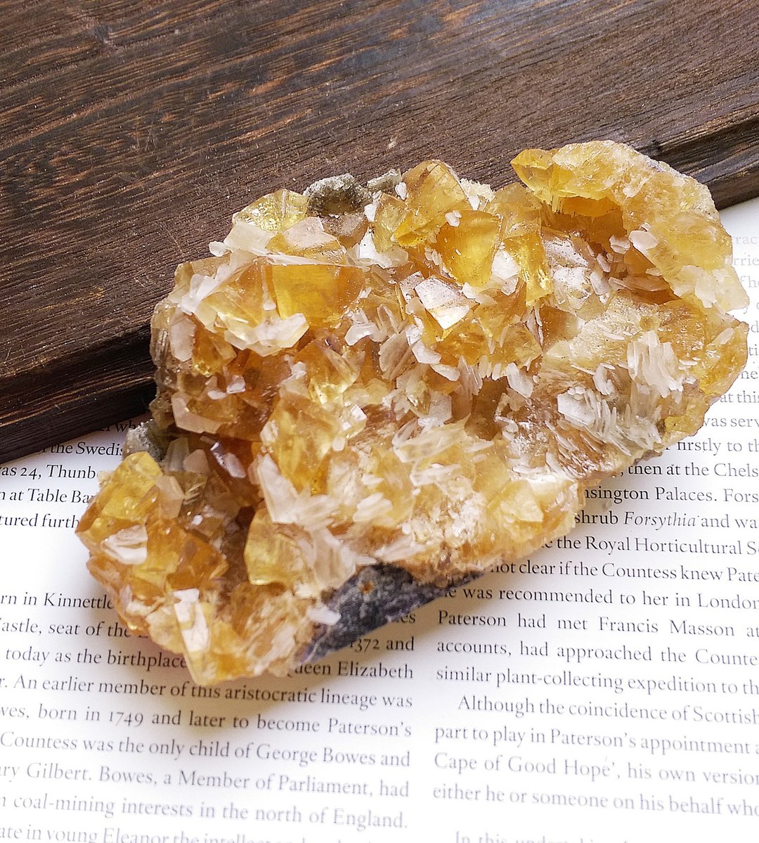 Calcite 福建产地 蜂蜜方解石 天然矿石 原矿 - 摆饰 - 其他材质 