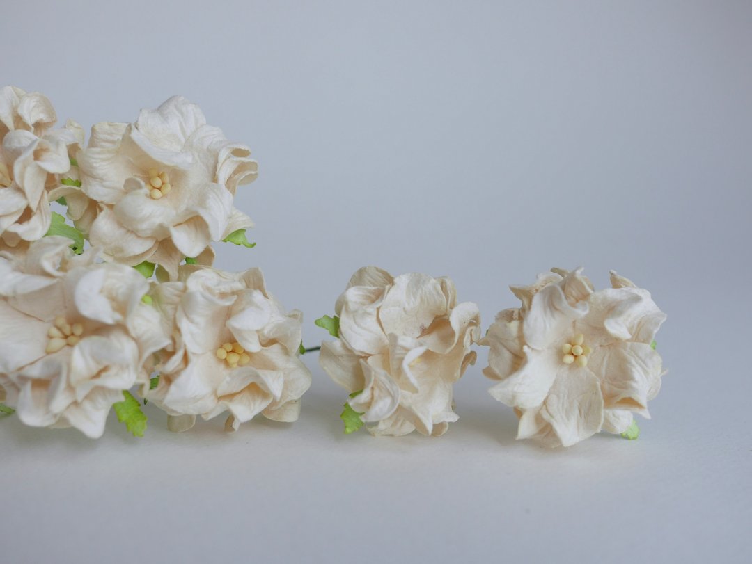 纸花，DIY手工用品，25朵栀子花，象牙色。 - 其他 - 纸 白色