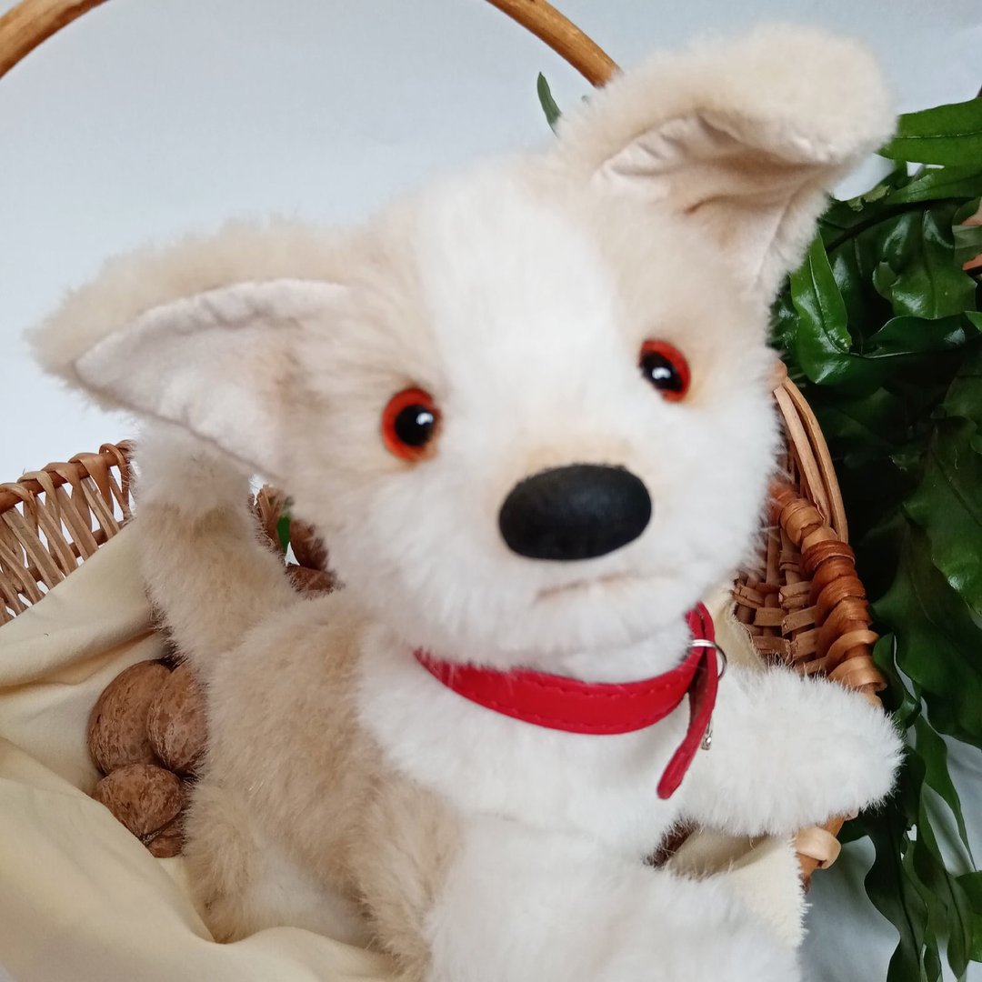 Teddy Corgi puppy - 玩偶/公仔 - 其他材质 