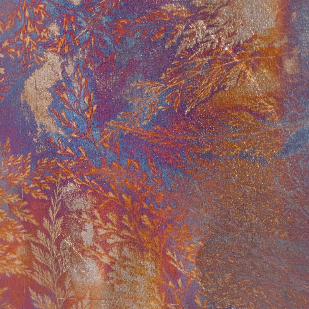 烧箔植物画  #7 - 海报/装饰画/版画 - 纸 