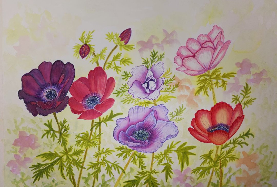 2. 野花田第三名 圣诞生日礼物 手绘原创花鸟水彩画 浪漫治愈 装 - 海报/装饰画/版画 - 纸 多色