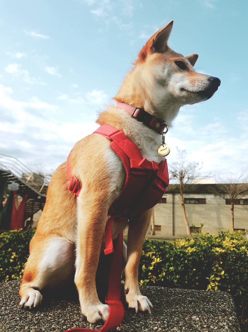 黄铜/纯银宠物吊牌体验课程 花莲金工体验 毛小孩 家庭 疗愈课程 - 金工/饰品 - 铜/黄铜 