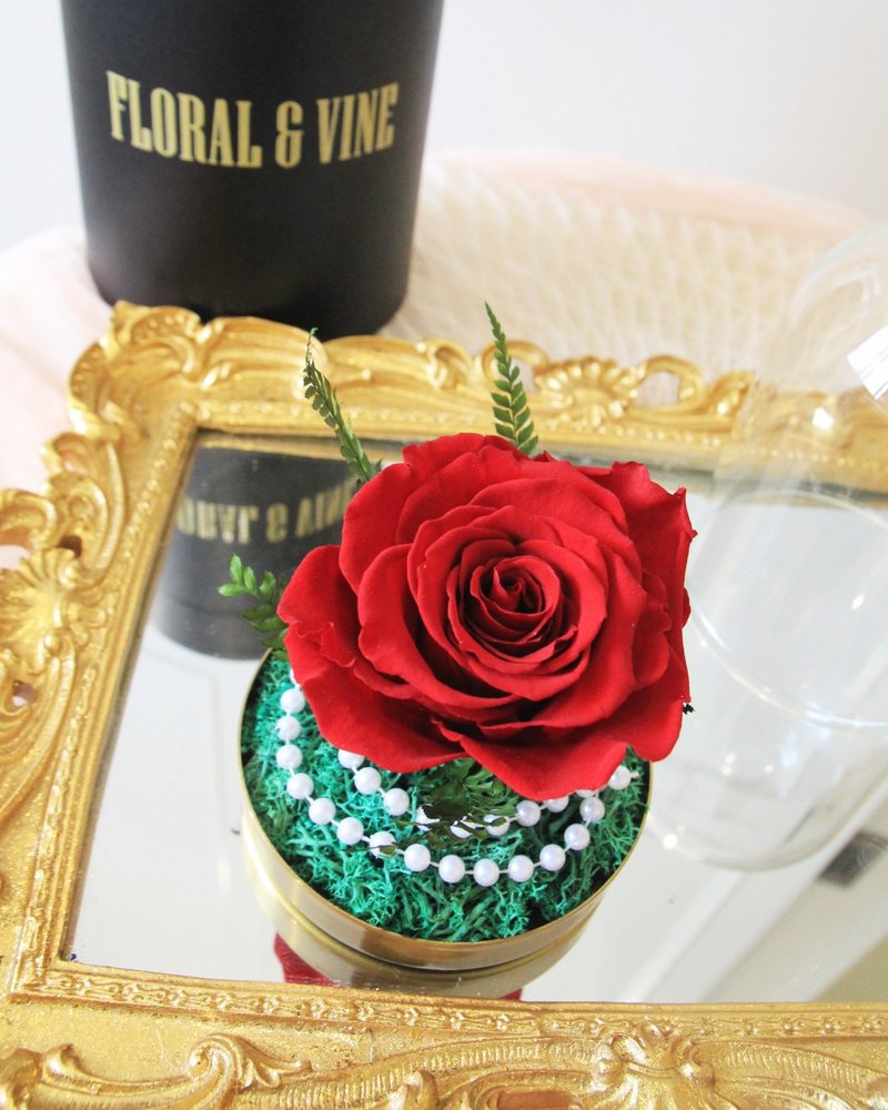 Princess Belle 贝拉公主永恒玫瑰玻璃盅 (时尚红) - 干燥花/捧花 - 植物．花 