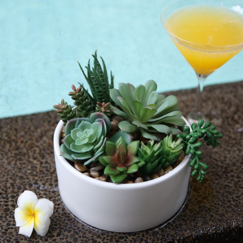 【绿意盎然】绿色多肉植物组合(大) | 布置 |人造植物 | 陶瓷盆栽 - 植栽/盆栽 - 塑料 绿色