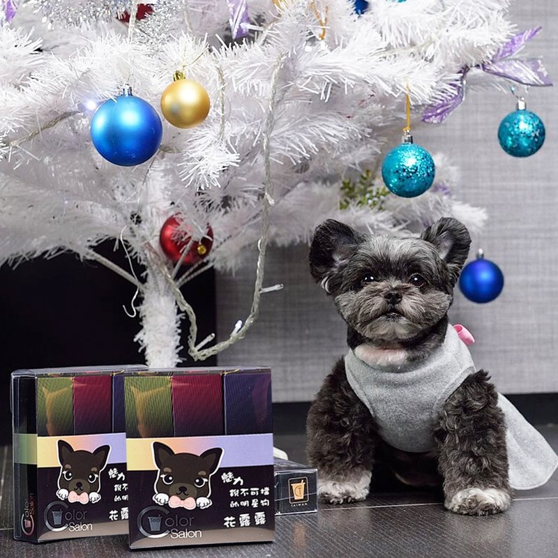 【Color Salon Tea X 花露露联名组】限定联名，独家限量：） - 茶 - 其他材质 