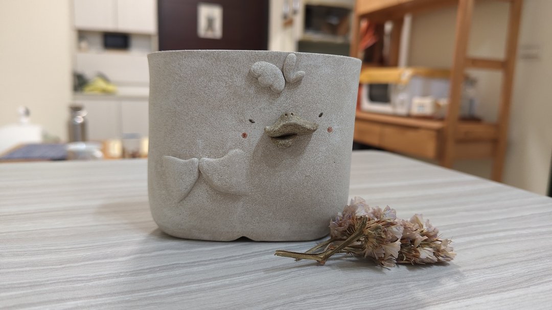 鸭鸭盆栽 - 植栽/盆栽 - 陶 白色