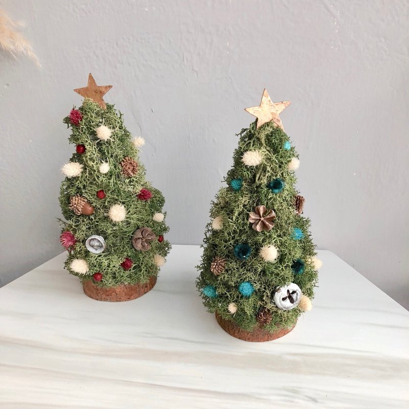 迷你圣诞树 - 干燥花/捧花 - 植物．花 