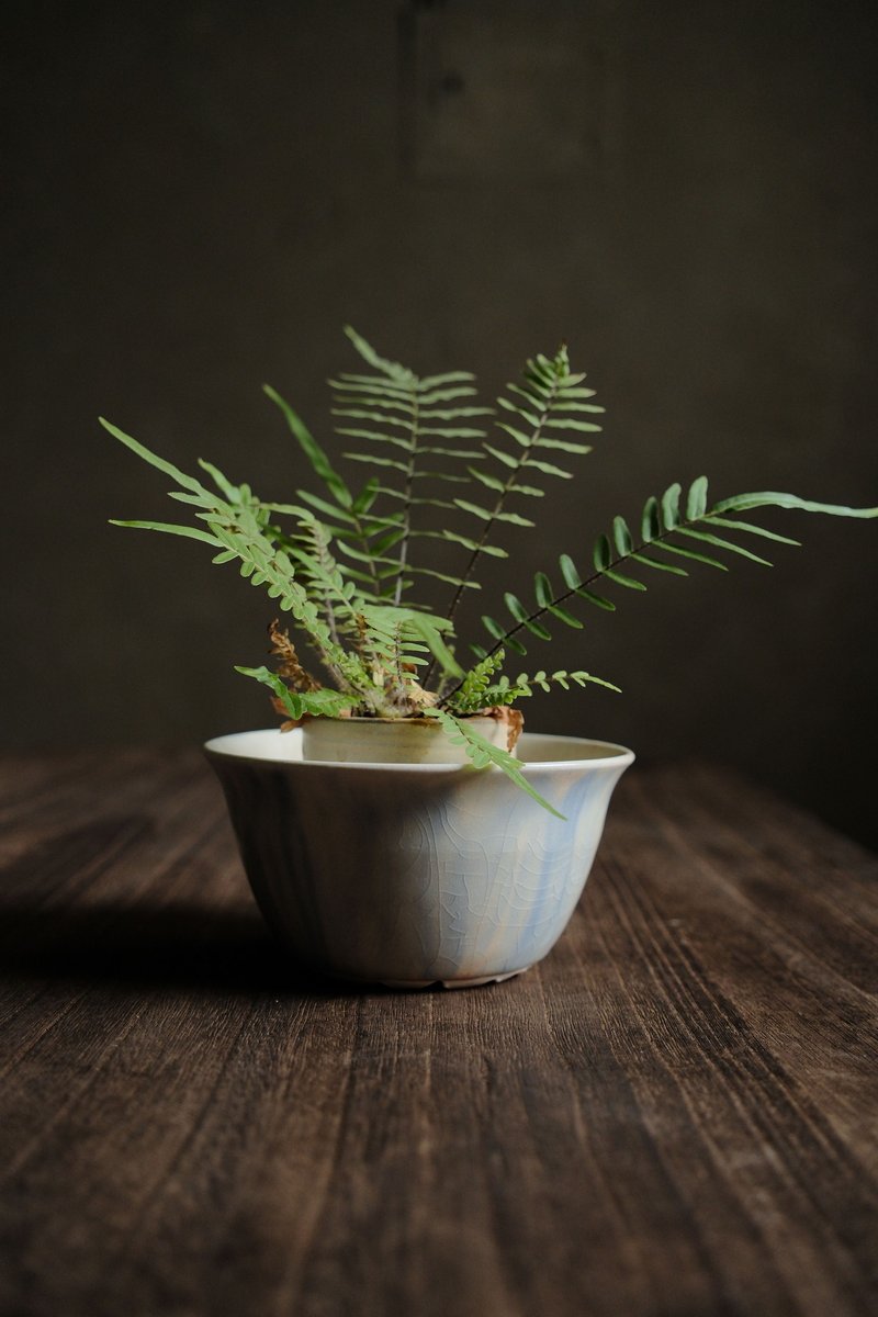 白层・琉璃海・夏季午后的苏打水・敞口花盆 - 植栽/盆栽 - 陶 白色