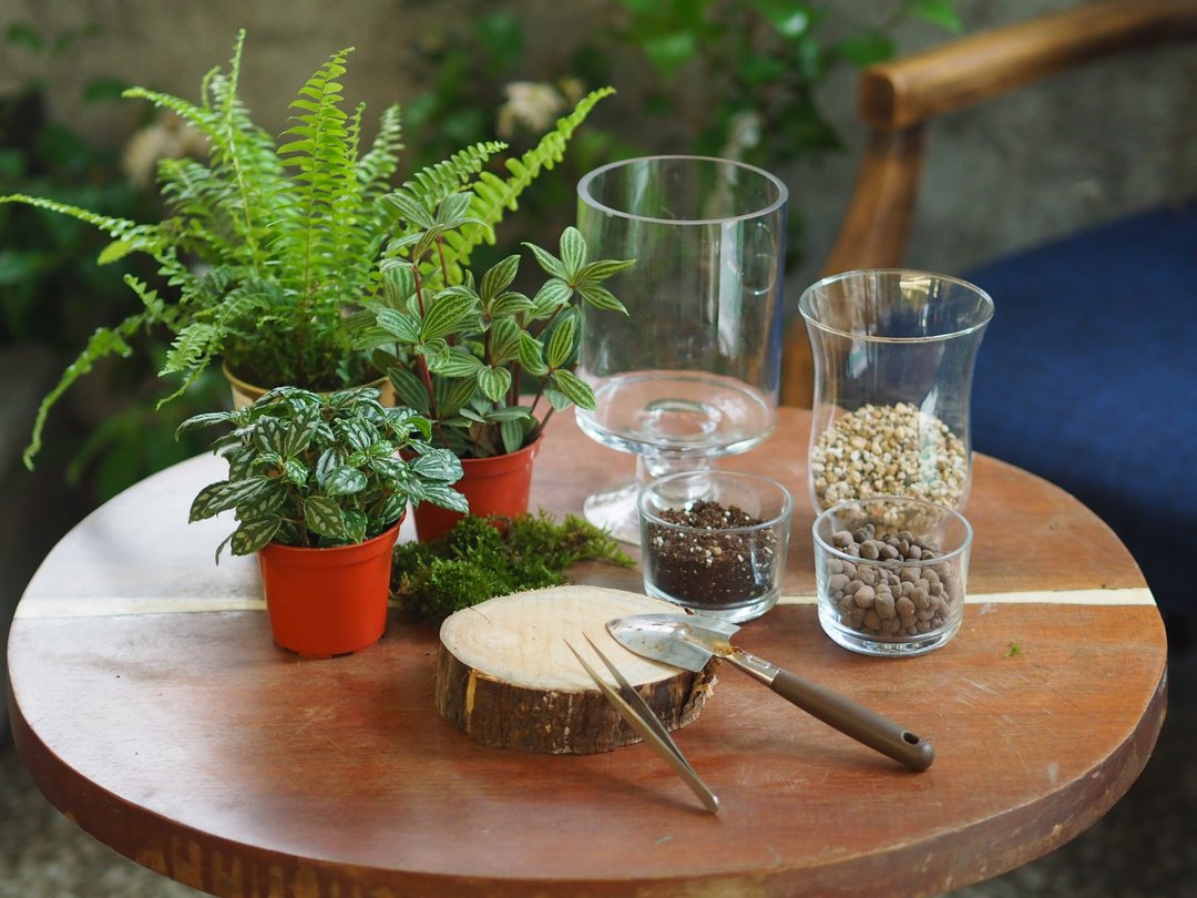 居家生活绿手指 生态瓶 DIY 材料包 - 植栽 - 植物．花 