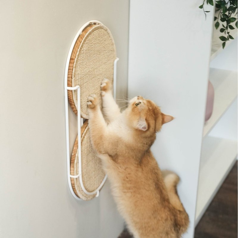 换换猫抓板 Locus - 抓板/跳台 - 其他材质 多色