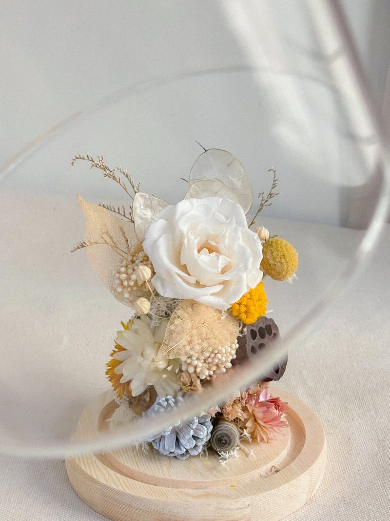 桔梗之语 x 永生干燥花玻璃罩 - 干燥花/捧花 - 植物．花 