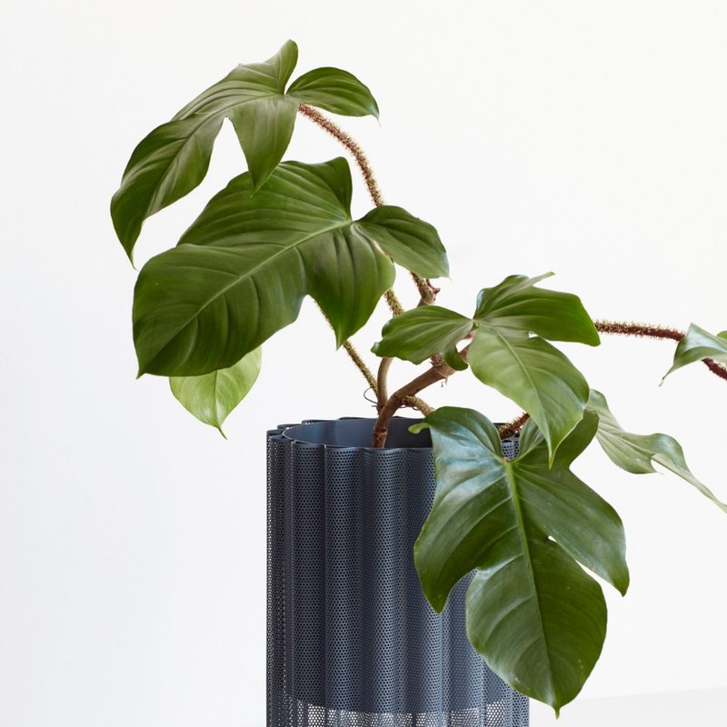 【Hübsch】－990904 灰色金属曲线网状盆器 植栽 盆栽 - 植栽/盆栽 - 其他金属 灰色