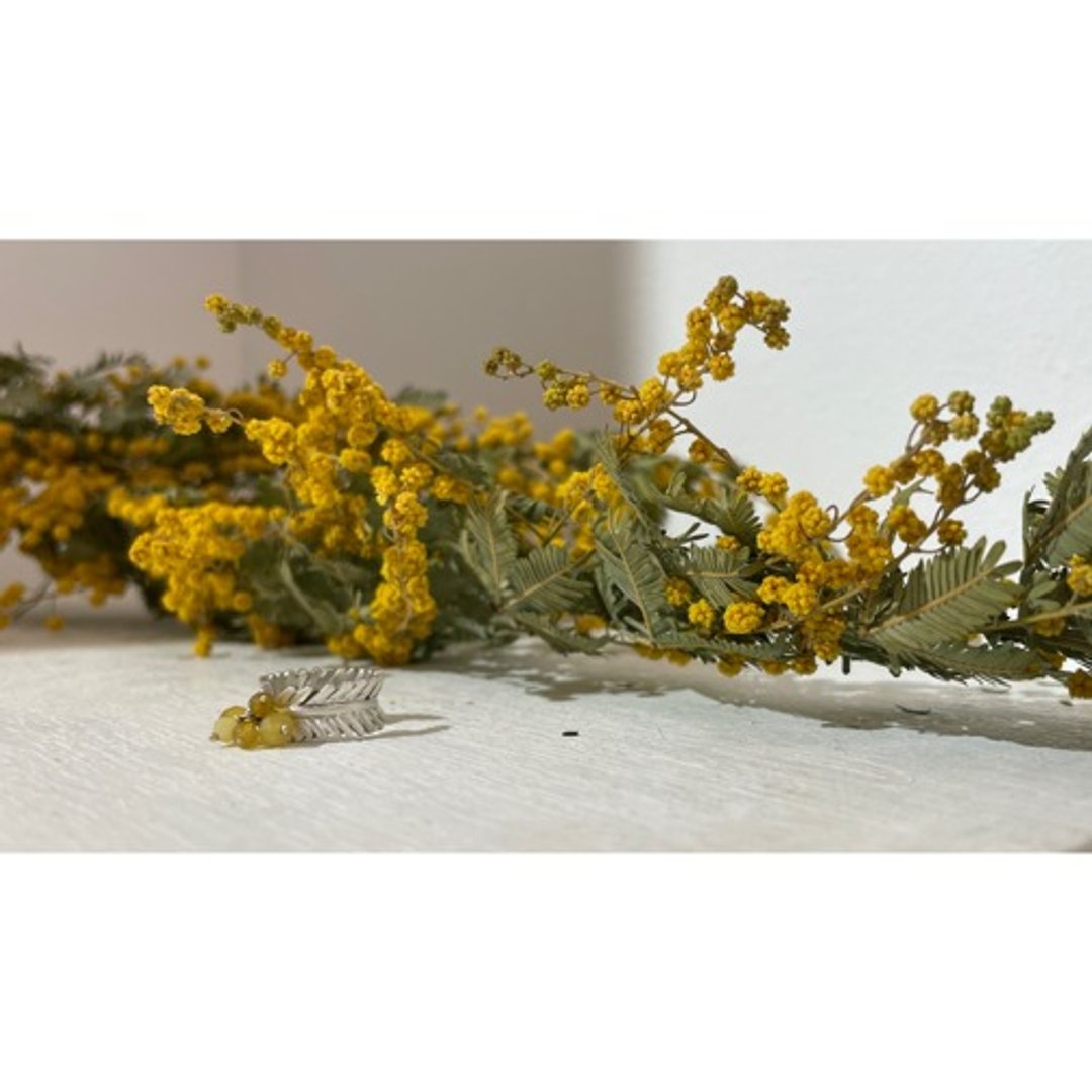 含羞草叶耳骨夹 - 耳环/耳夹 - 其他金属 