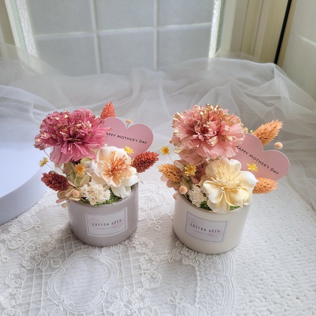 永生康乃馨小桌花。盆花。摆饰。附包装。毕业。老师礼物 - 干燥花/捧花 - 植物．花 