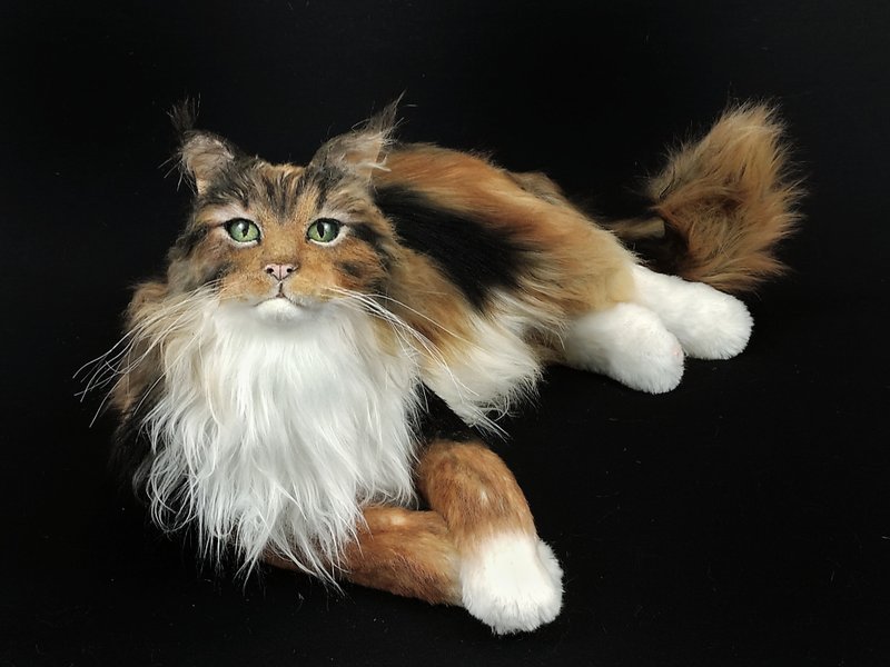 定制化仿真缅因猫玩偶 - 玩偶/公仔 - 其他材质 