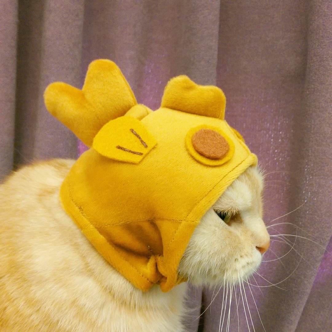 鲷鱼烧宠物猫狗帽子头套*S号 - 衣/帽 - 聚酯纤维 金色