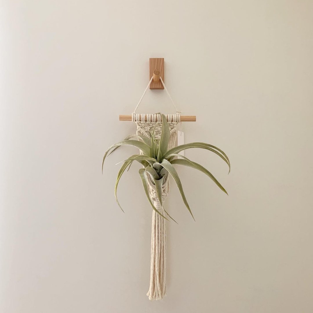 Macrame 小物 盆栽 空凤 原木挂饰 编织 吊饰 - 摆饰 - 棉．麻 白色
