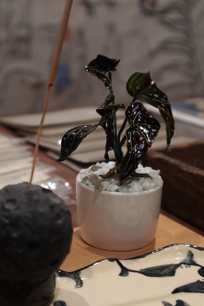 银点海棠 小盆栽 - 植栽/盆栽 - 树脂 绿色