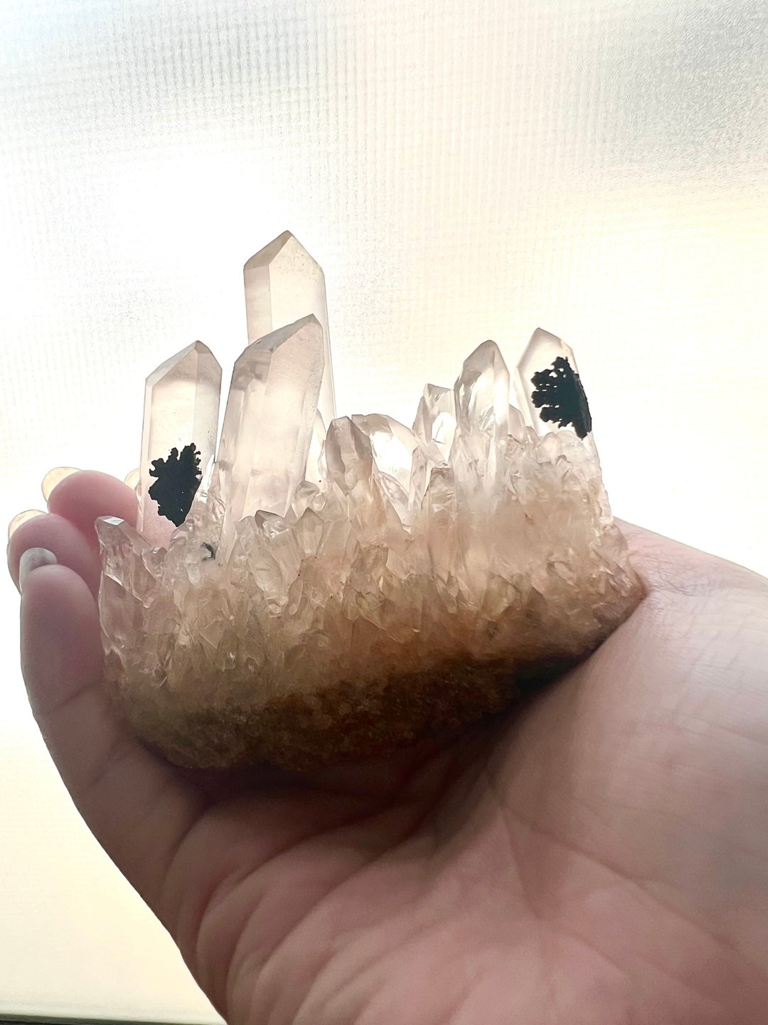双黑碧玺花白水晶共生晶簇/净化/疗愈/静心/摆件/可站立 - 摆饰 - 水晶 透明