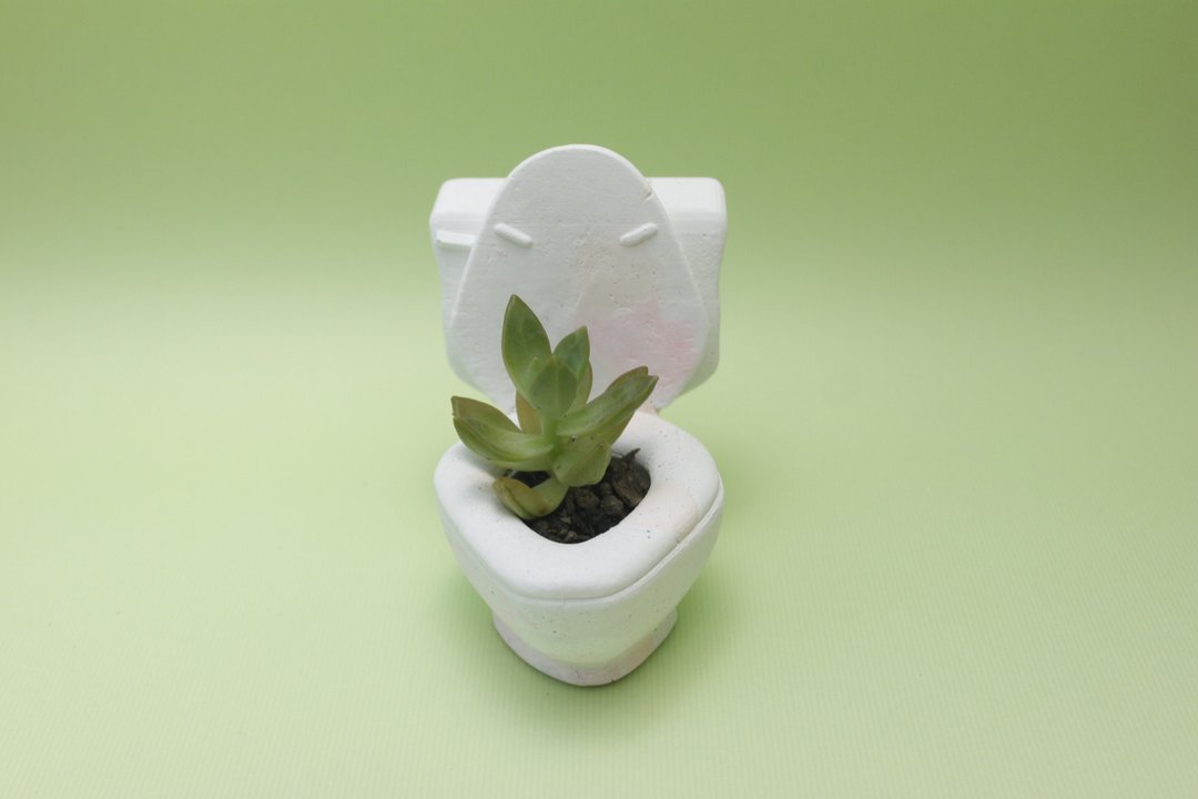 水泥盆器 多肉植物 -马桶 - 植栽/盆栽 - 纸 多色